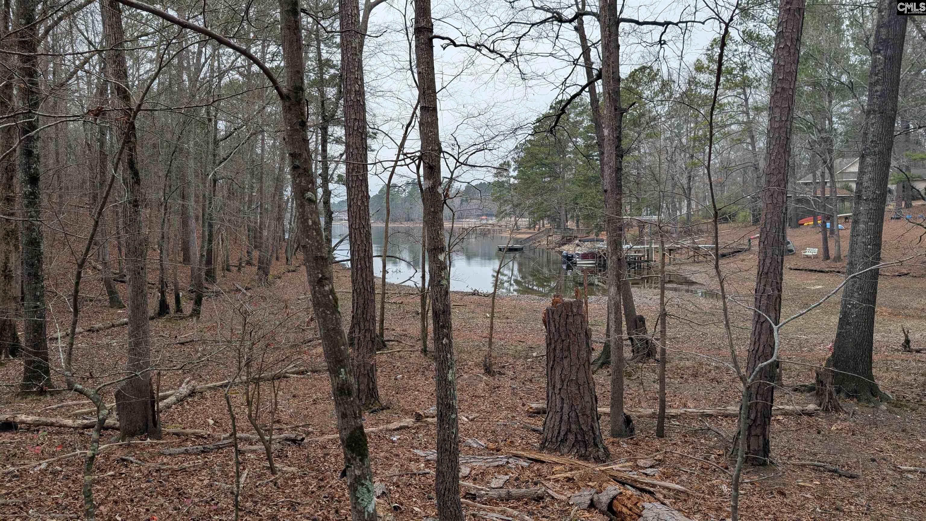 Lots B & C Lots B & C Miller Road Camden, SC 29020 - Photo 4 of 36