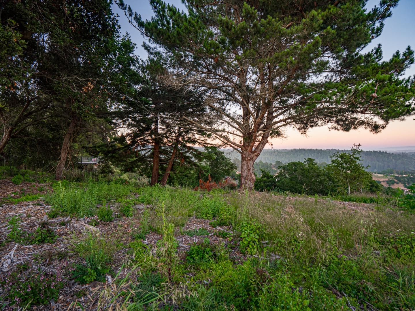 415 Muir Drive Soquel, CA 95073 - Photo 9 of 12 a view of a lush green forest