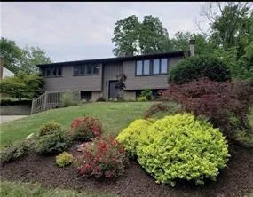 a backyard of a house with lots of green space and plants
