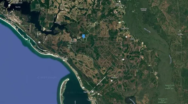 a view of a plant in a garden