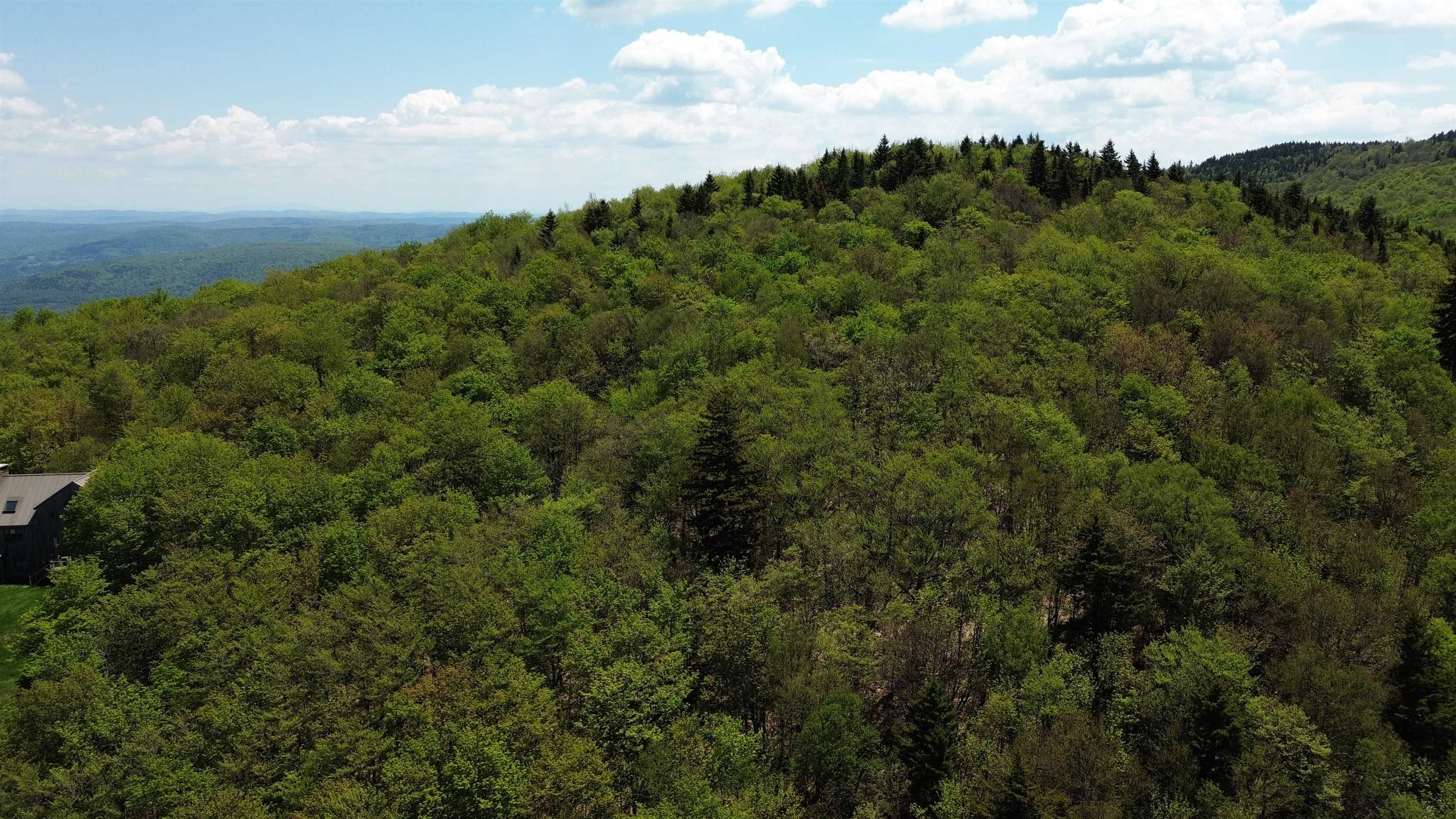 2016 Roxbury Mountain Road Warren, VT 05674 - Photo 5 of 18