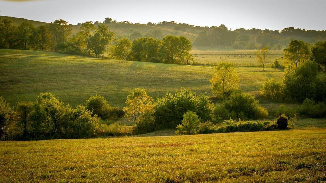 0 Deer Chase Road Danville, KY 40422 - Photo 19 of 21 pic 21