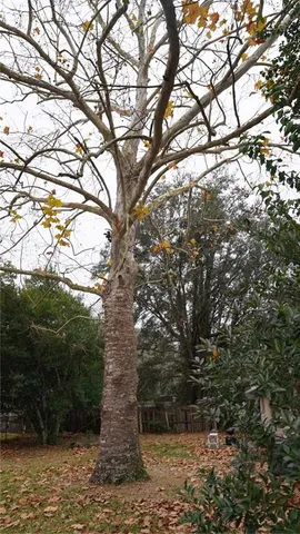 $220,000 | 27200 Fernery Avenue, Brooksville, FL 34602