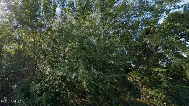 $5,500 | 0 Fairwood Circle, Moss Point, MS 39563