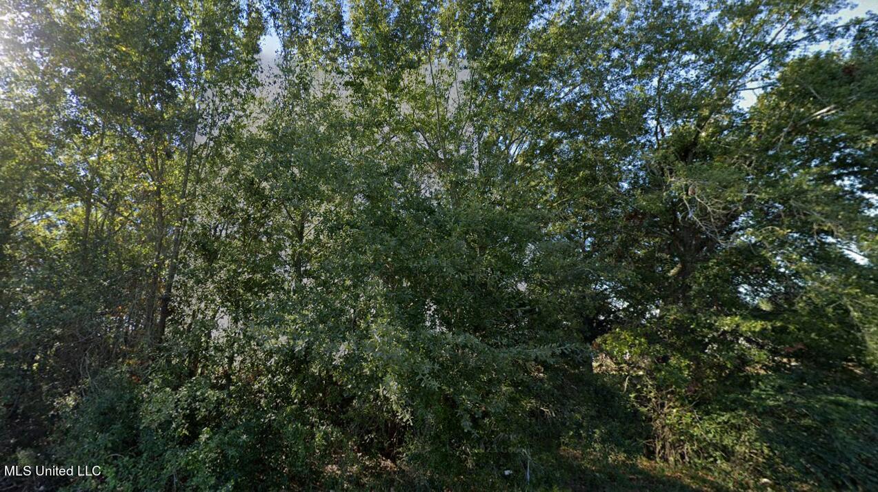 0 Fairwood Circle Moss Point, MS 39563 - Photo 1 of 2 Front