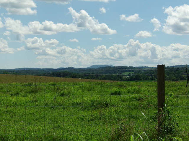 1659 Orchard Road Mount Jackson, VA 22842 - Photo 2 of 13 a view of a city