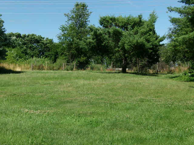 1659 Orchard Road Mount Jackson, VA 22842 - Photo 3 of 13 a view of a grassy field with trees in the background