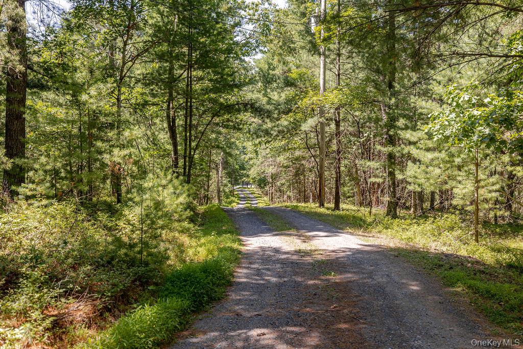 490 Peak Road Stone Ridge, NY 12484 - Photo 35 of 40