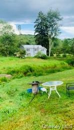3 Burr Road Cochecton, NY 12726 - Photo 11 of 13 a green field with trees in the background