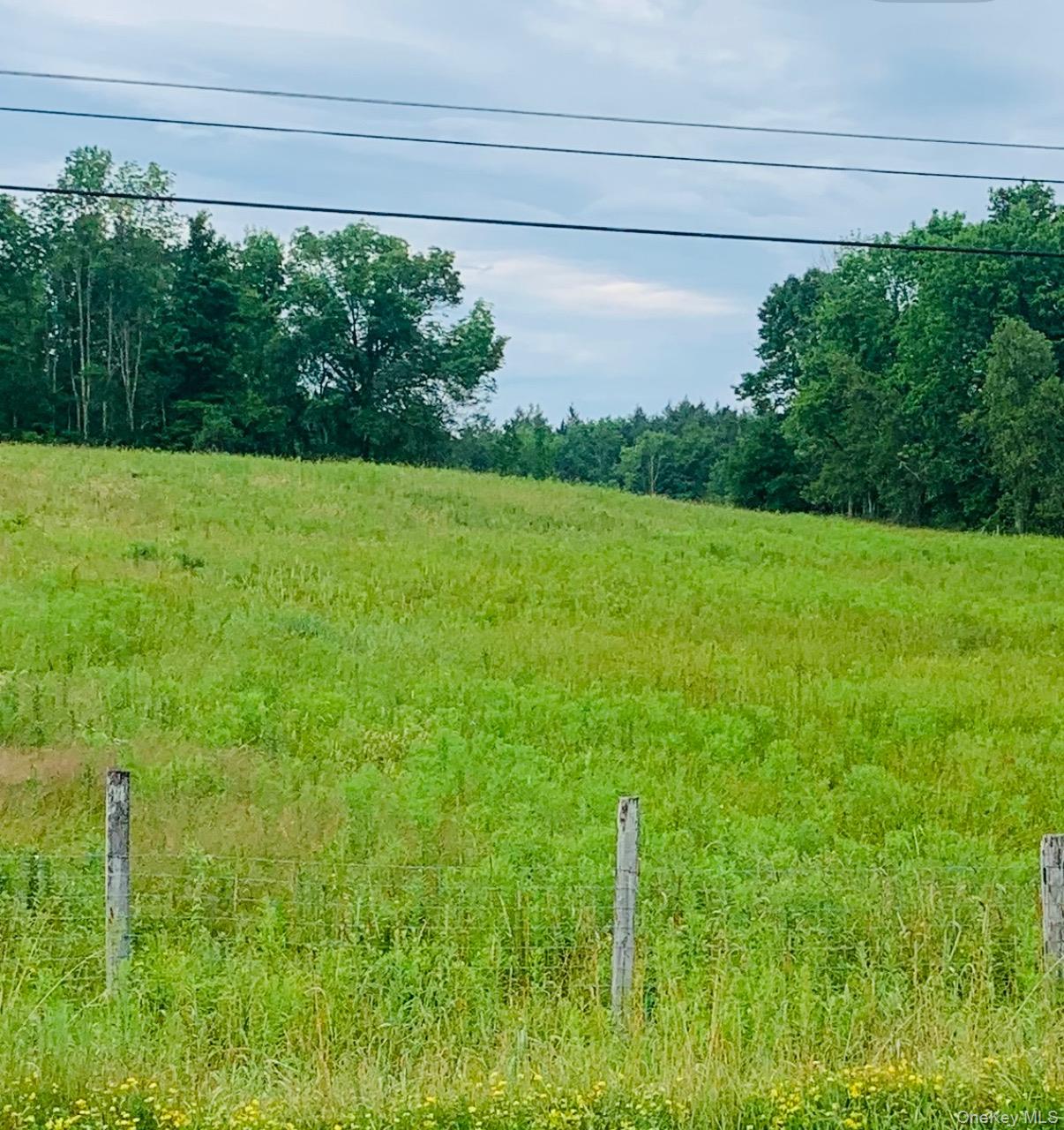 3 Burr Road Cochecton, NY 12726 - Photo 13 of 13 a view of field with grass and trees in the background