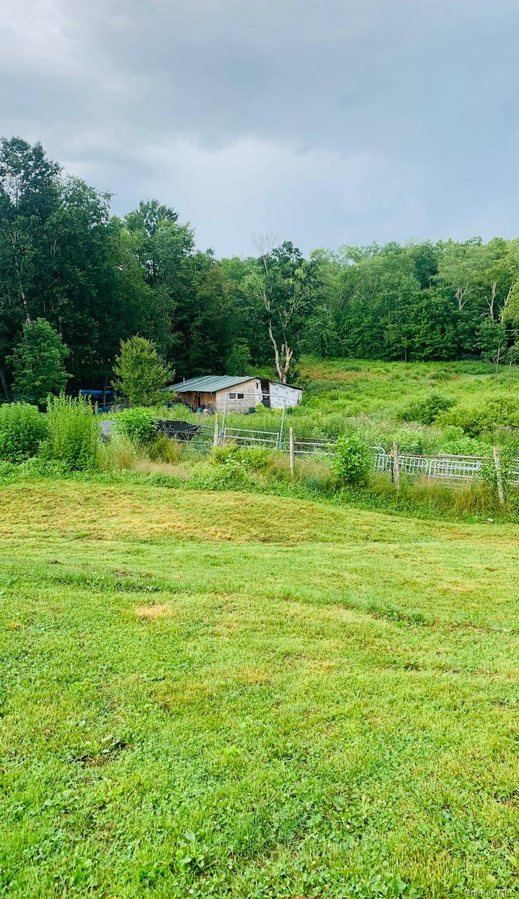 3 Burr Road Cochecton, NY 12726 - Photo 8 of 13 a view of a garden with a lake