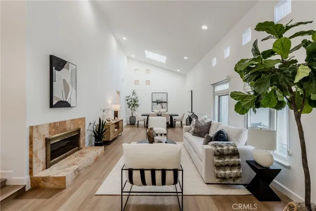 a living room with furniture potted plant and a lamp
