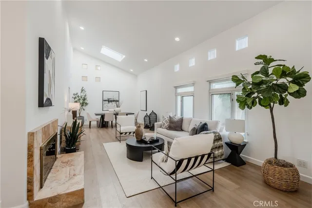 a living room with furniture potted plant and a table