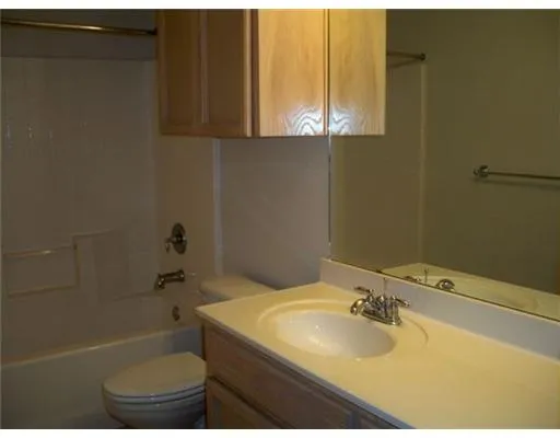 a bathroom with a sink a toilet and bathtub