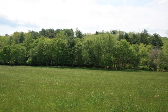 1925 Sunflower Road Meadows Of Dan, VA 24120 - Photo 4 of 21 Gallery Image 4