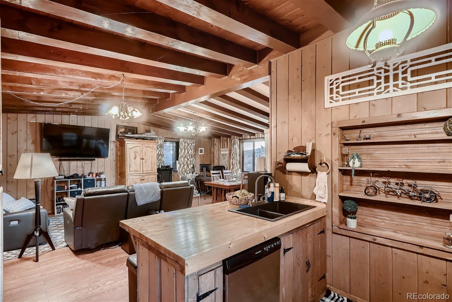 43 Homestead Road Bailey, CO 80421 - Photo 7 of 11 Gallery Image 7