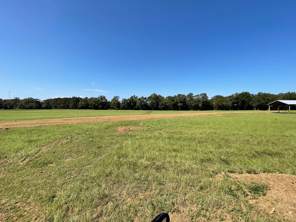 3 Iris Road Dothan, AL 36301 - Photo 4 of 6