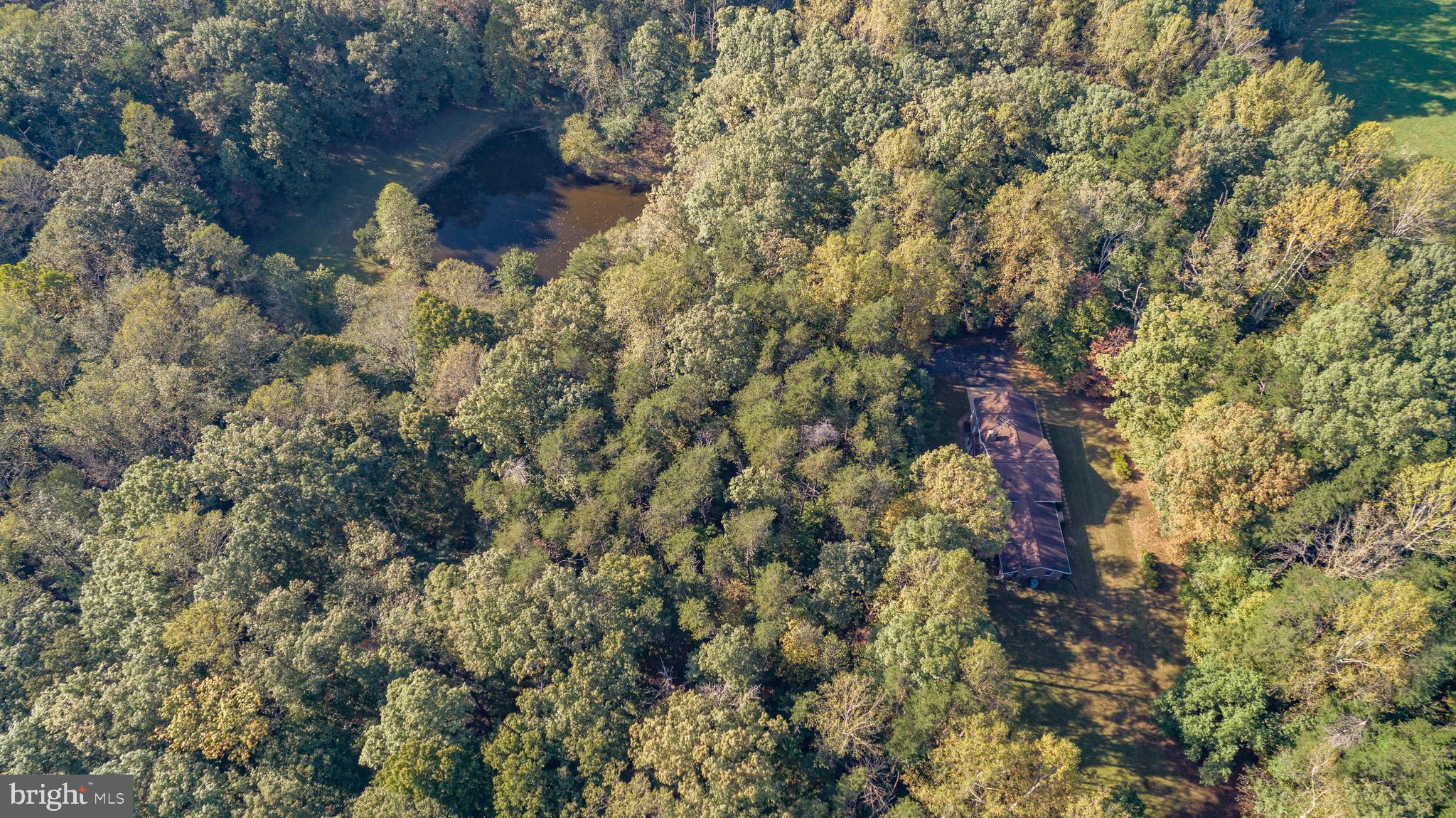 14182 Tower Road Unionville, VA 22567 - Photo 3 of 55 Surrounded by Trees & Access to Pond