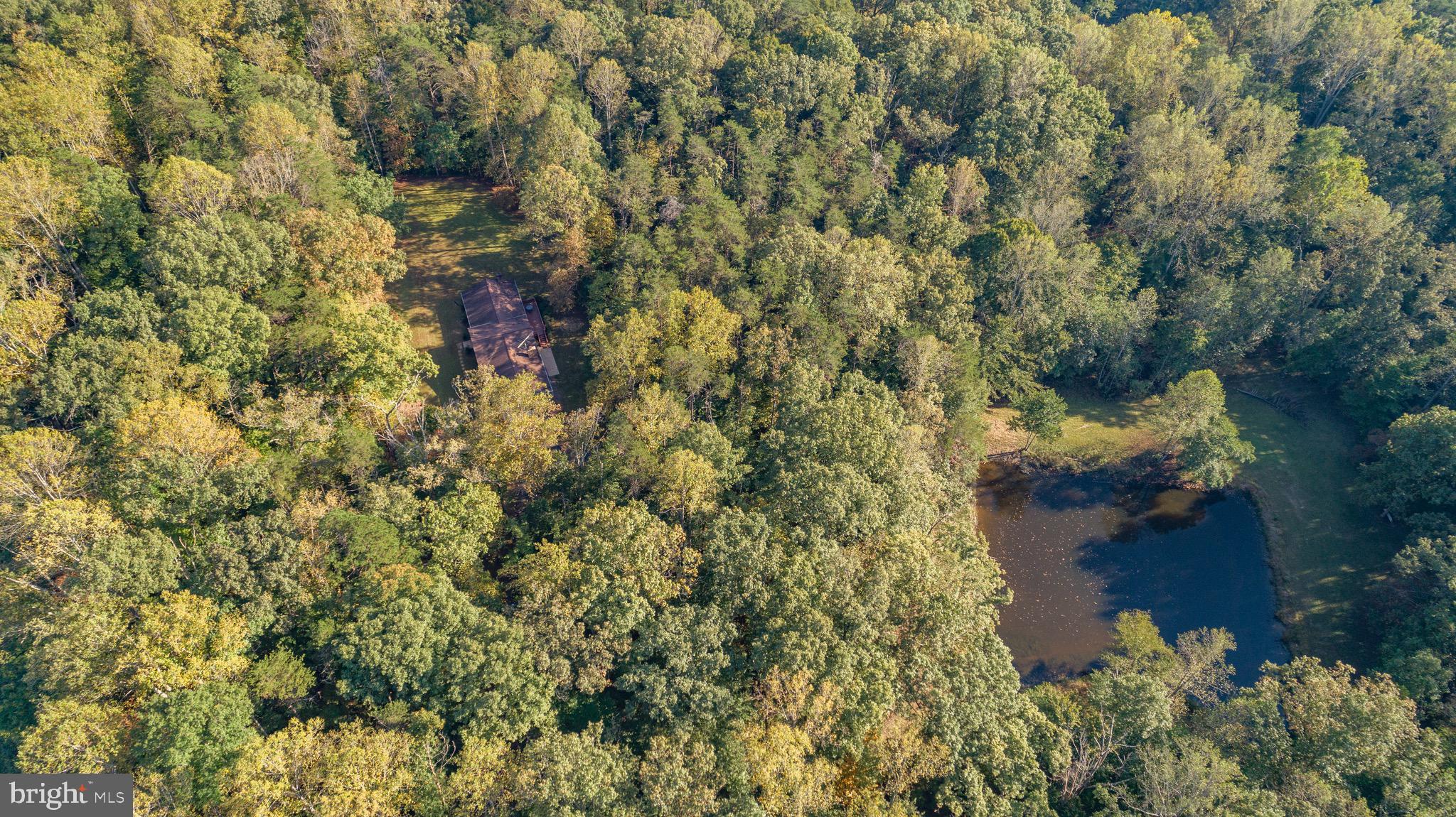 14182 Tower Road Unionville, VA 22567 - Photo 54 of 55 15 Acres of Privacy