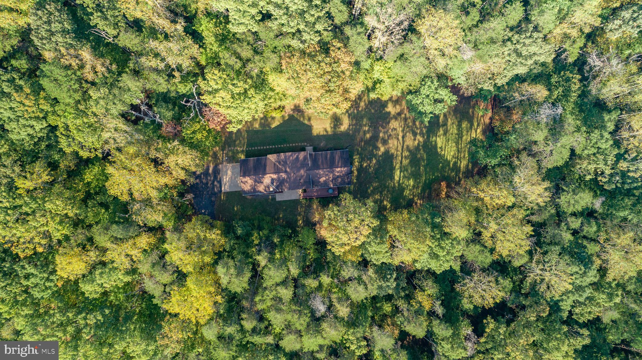 14182 Tower Road Unionville, VA 22567 - Photo 7 of 55 Situated on 15 Acres Surrounded by Trees