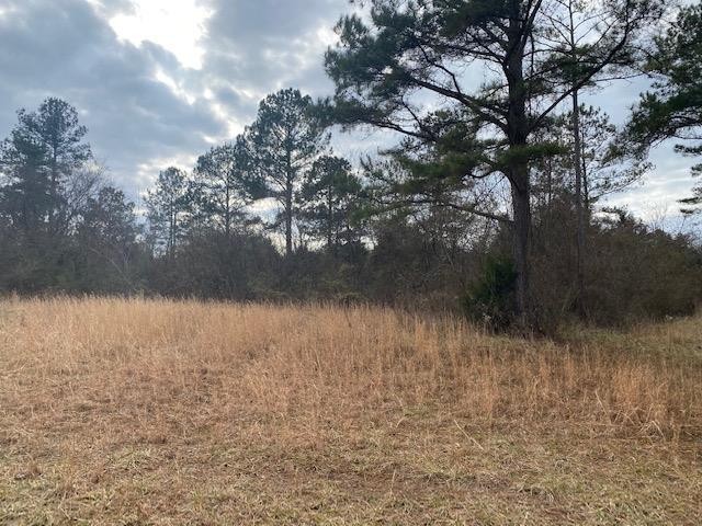 351 County Road Sweetwater, TN 37874 - Photo 12 of 14
