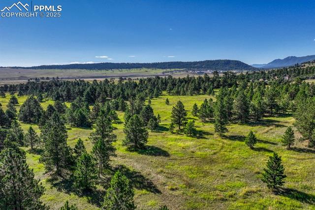 Perry Park Road Larkspur, CO 80118 - Photo 2 of 50 Gallery Image 2