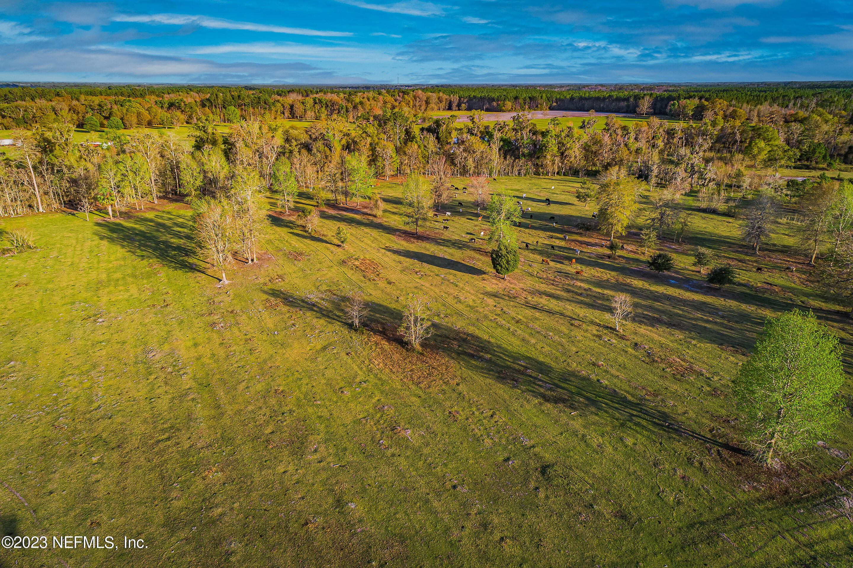 Lot 1 Henry Smith Road Hilliard, FL 32046 - Photo 15 of 18