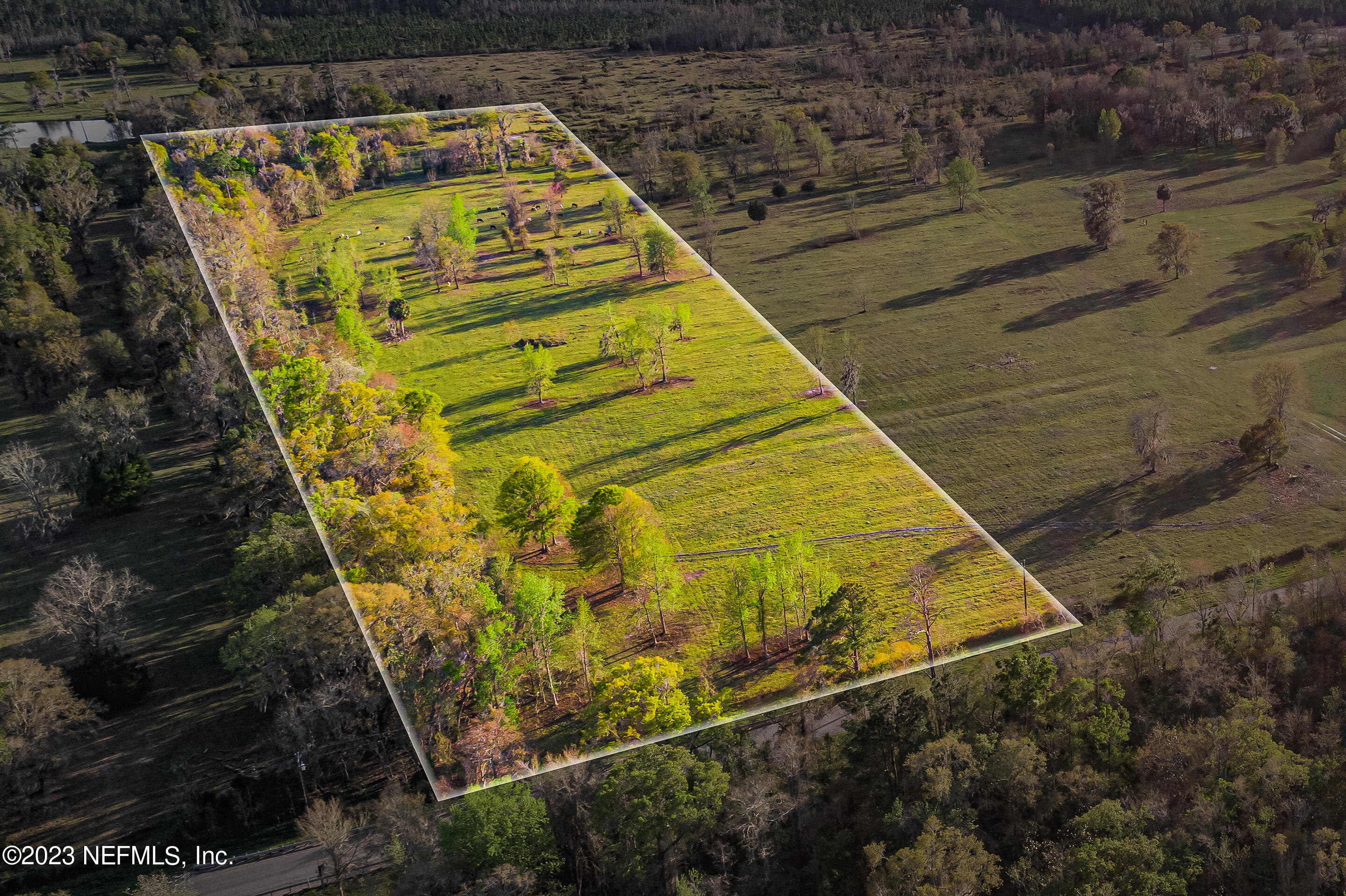 Lot 1 Henry Smith Road Hilliard, FL 32046 - Photo 18 of 18 a view of swimming pool