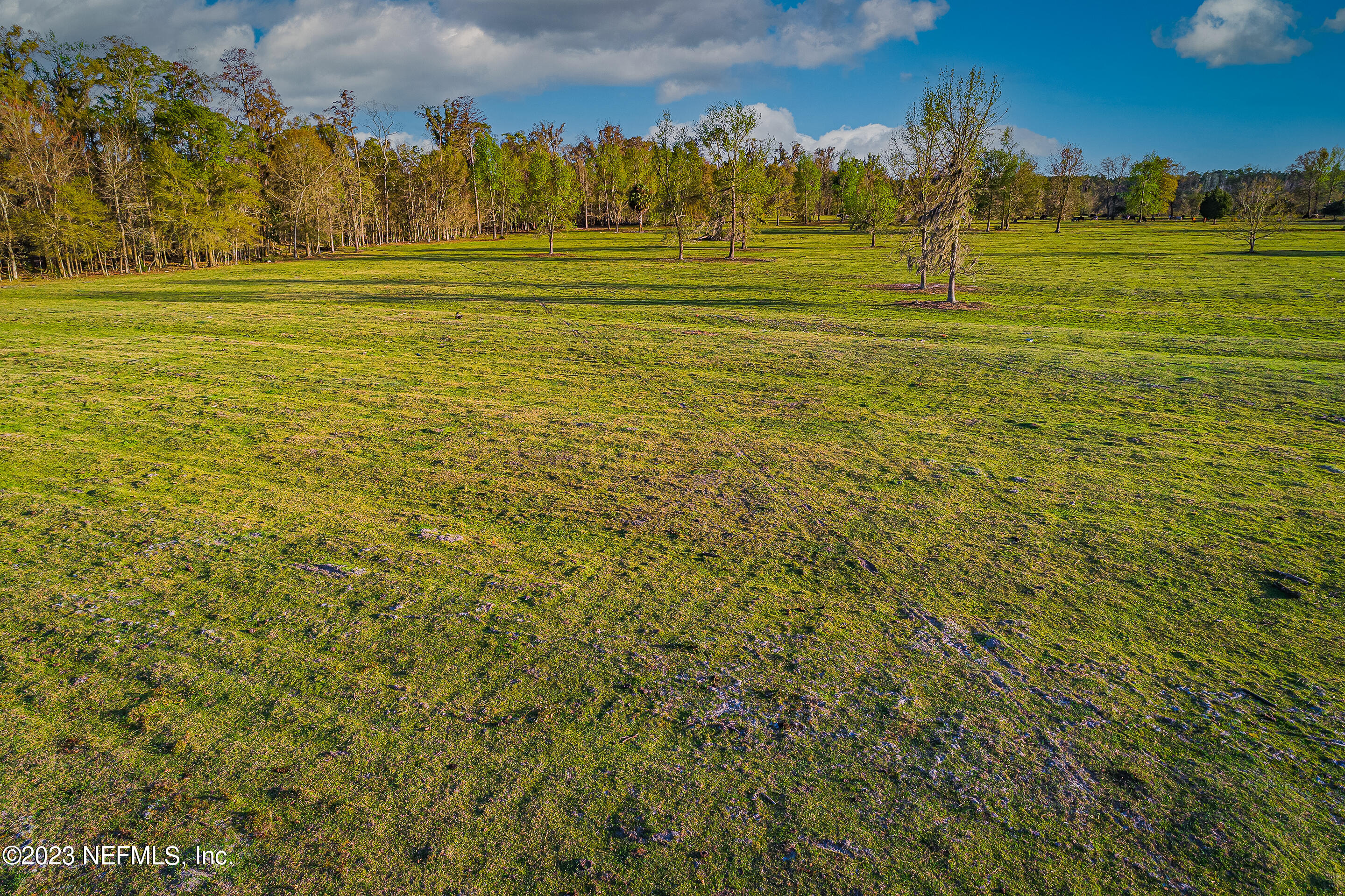 Lot 1 Henry Smith Road Hilliard, FL 32046 - Photo 3 of 18
