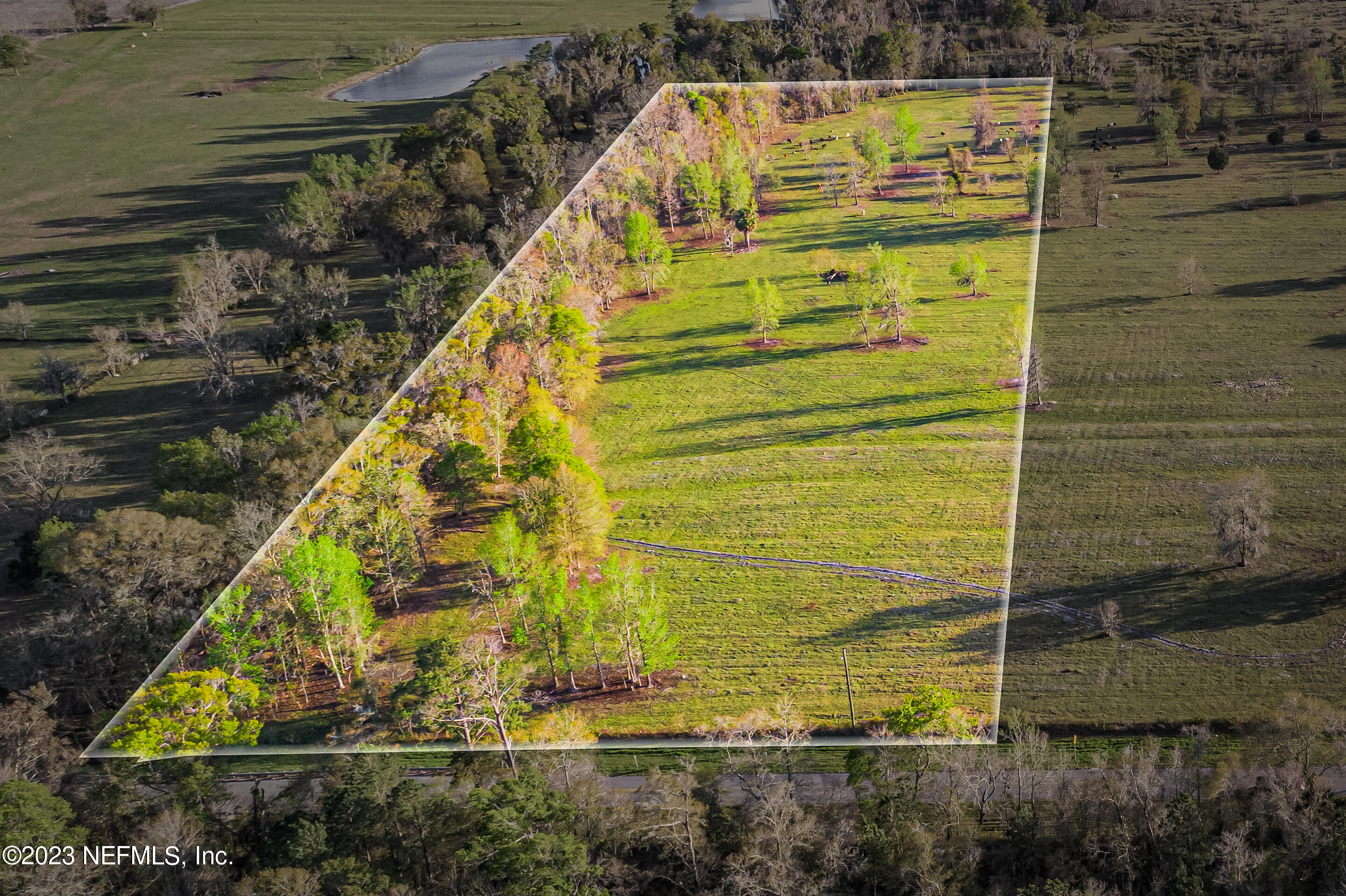 Lot 1 Henry Smith Road Hilliard, FL 32046 - Photo 4 of 18 a view of swimming pool