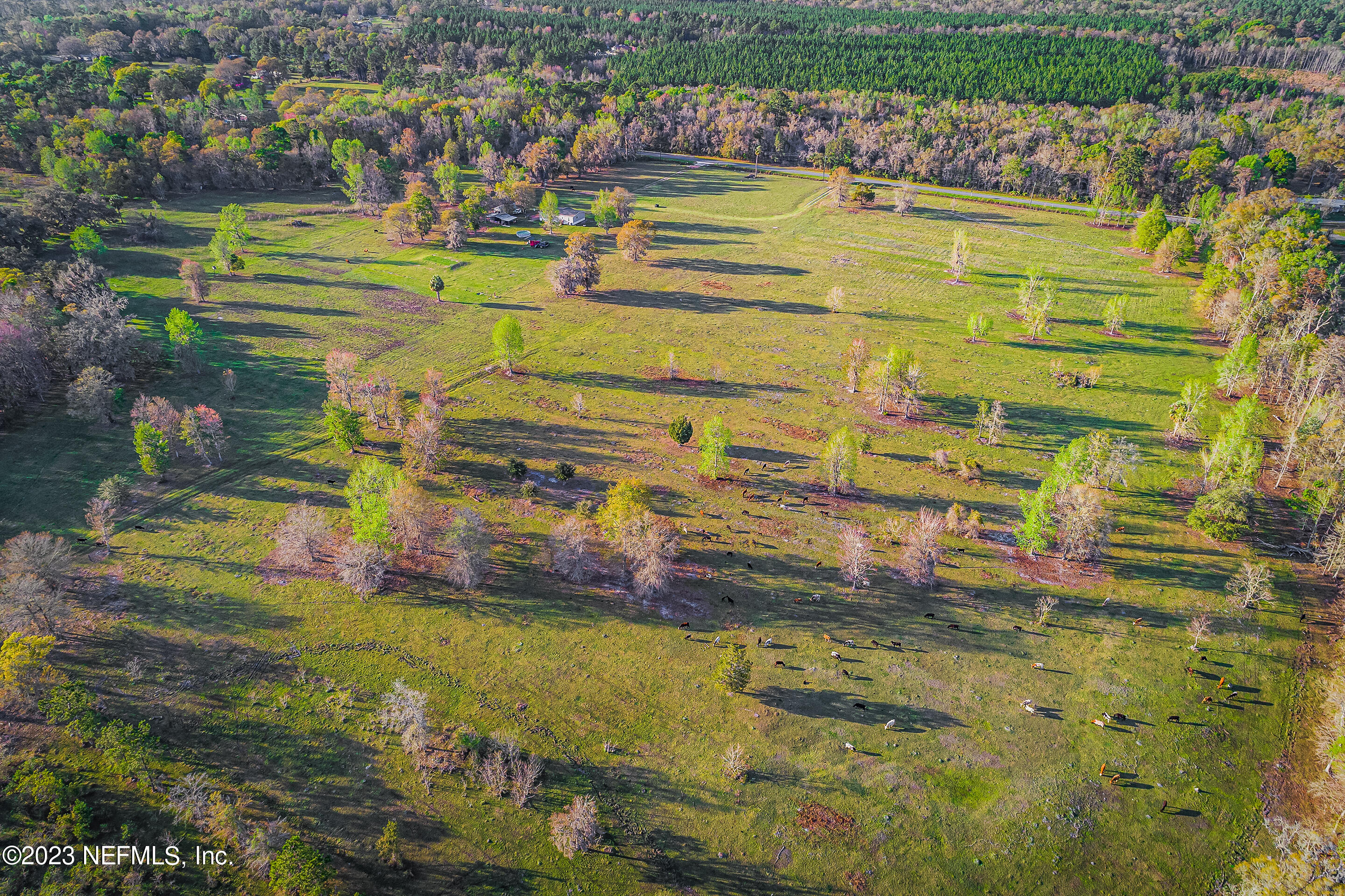 Lot 1 Henry Smith Road Hilliard, FL 32046 - Photo 7 of 18 a view of an ocean house a yard and lake view