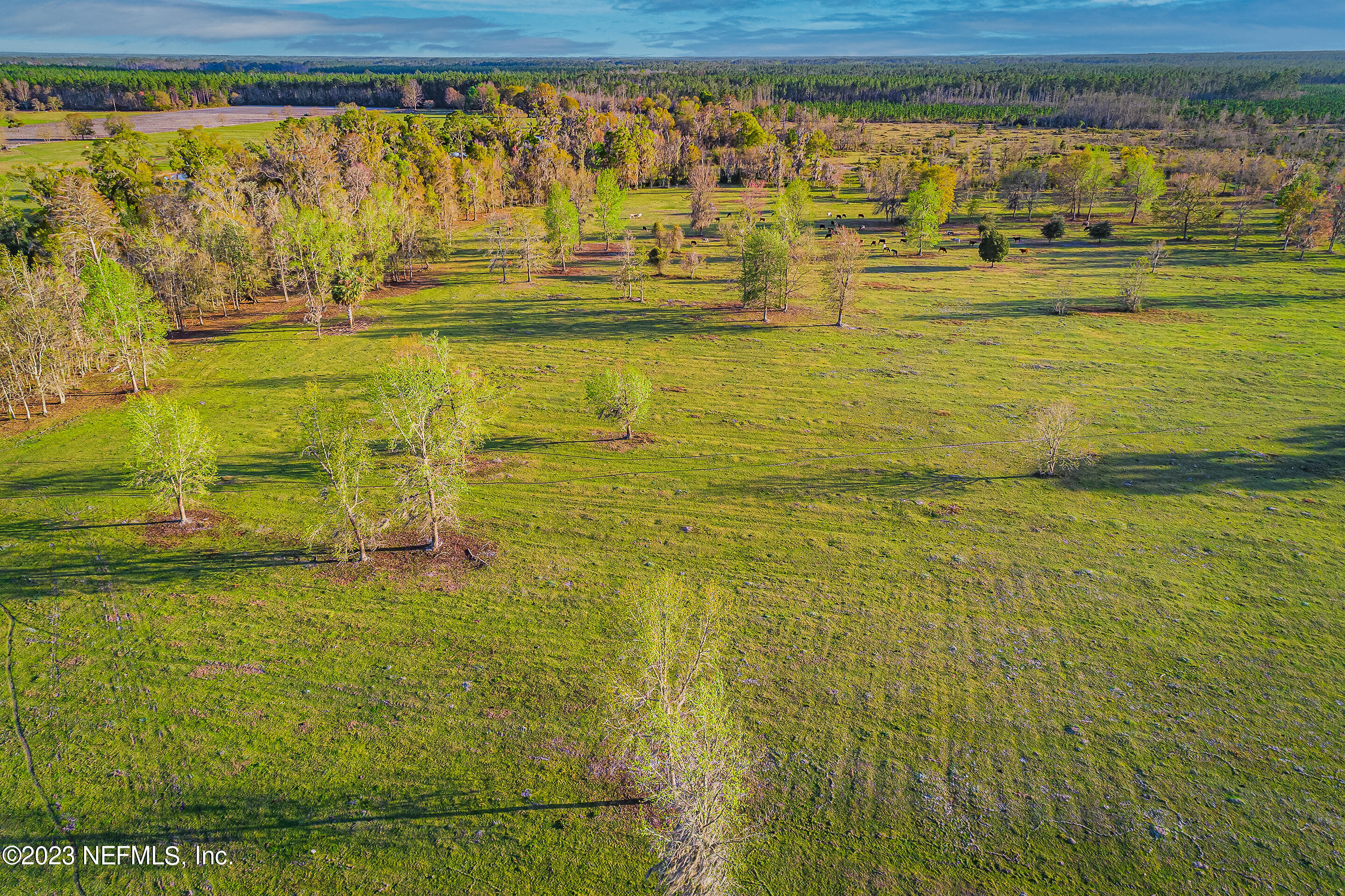 Lot 1 Henry Smith Road Hilliard, FL 32046 - Photo 10 of 18 a bathroom with a blue shower