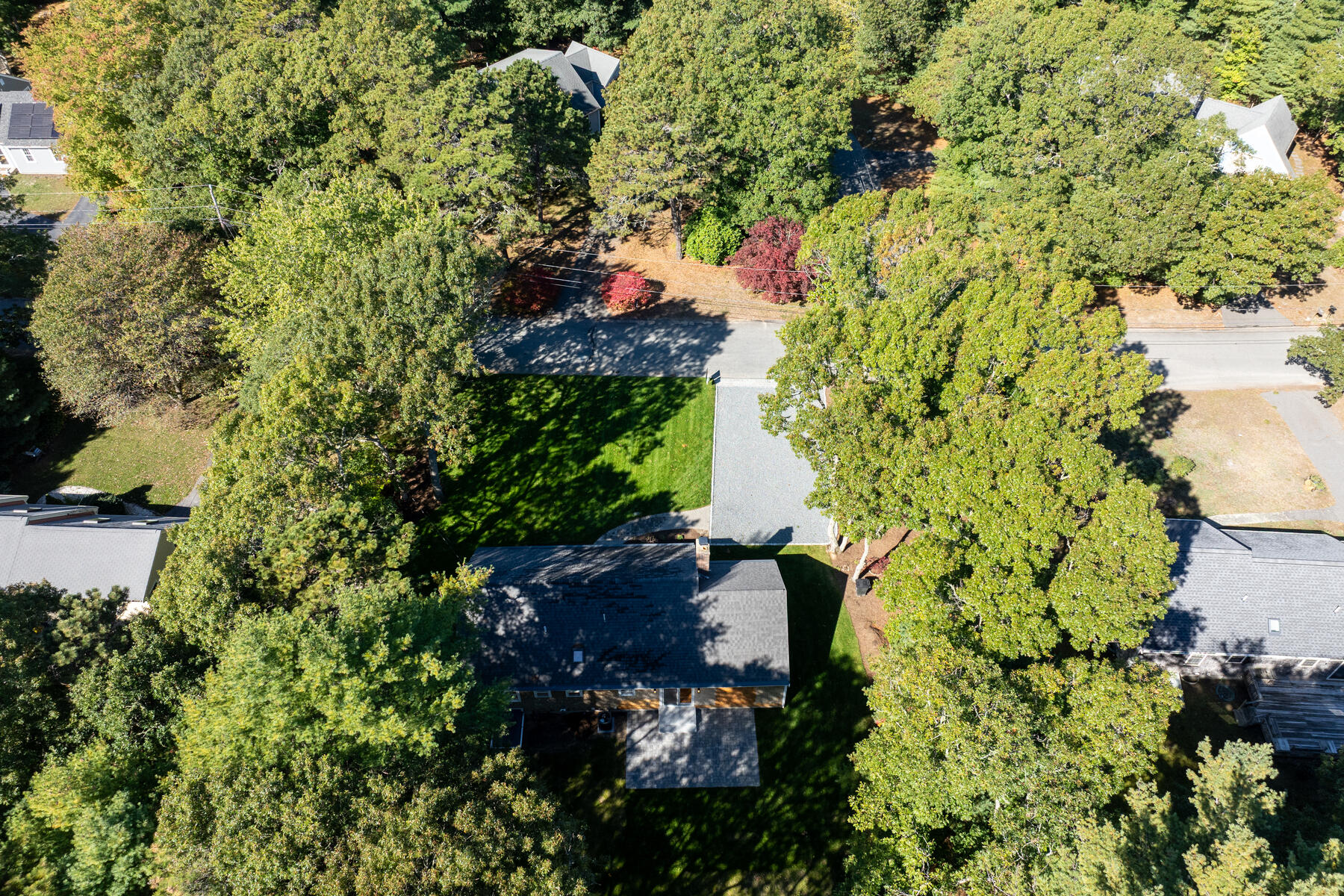 42 Sandy Valley Road Marstons Mills, MA 02648 - Photo 36 of 43 a picture of flowers