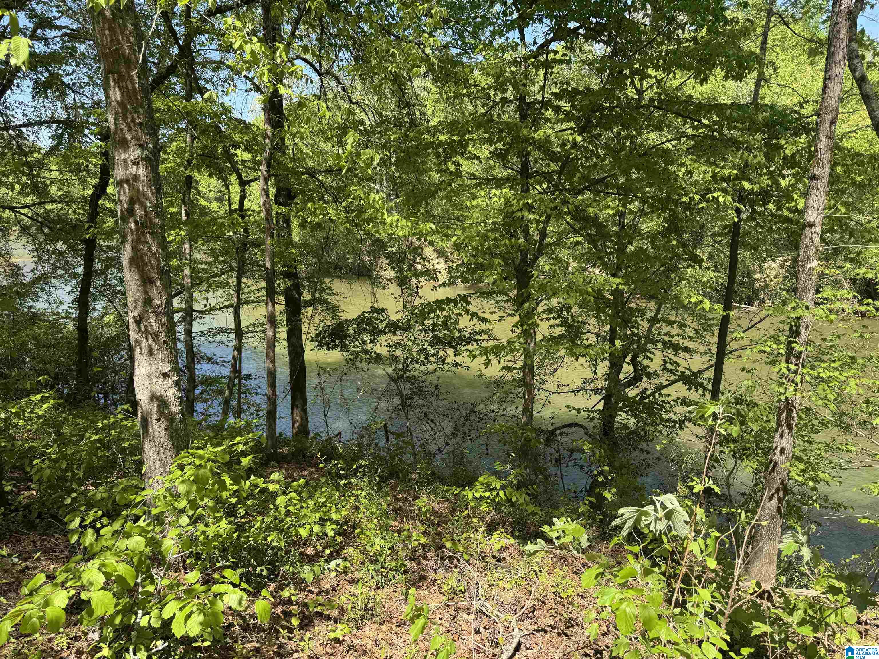 160 Creek Grove Road Cleveland, AL 35049 - Photo 43 of 57