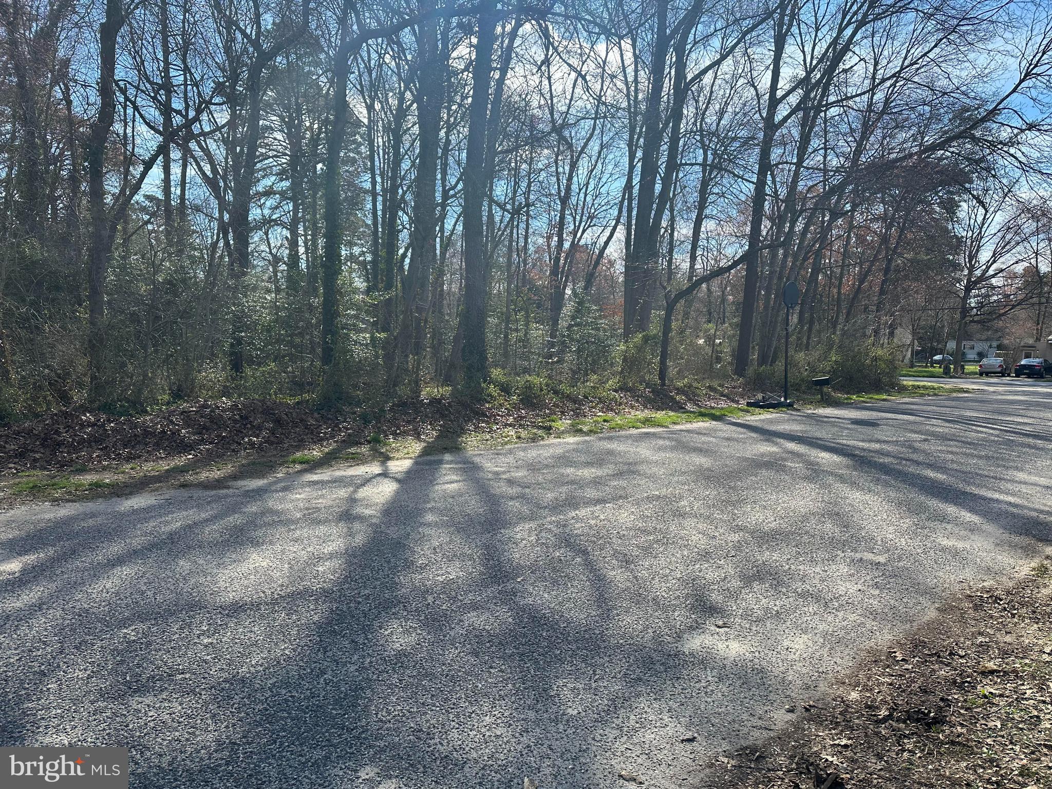 538 Evergreen Road Millville, NJ 08332 - Photo 3 of 4 a view of outdoor space with trees