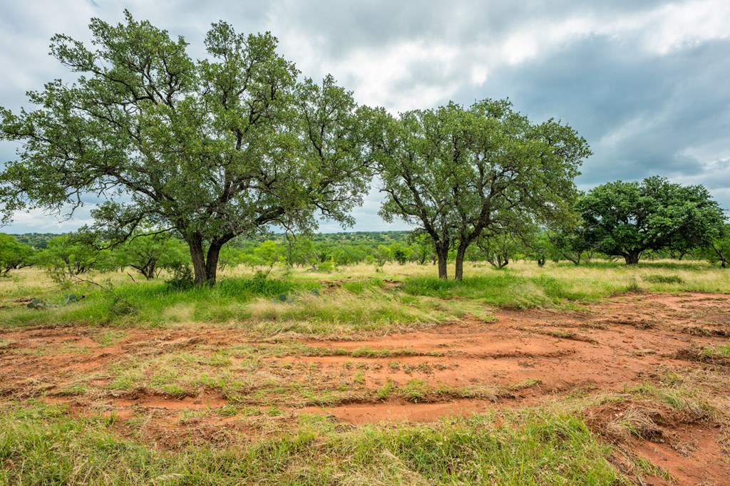 7602 County Road 113 Llano, TX 78643 - Photo 63 of 69