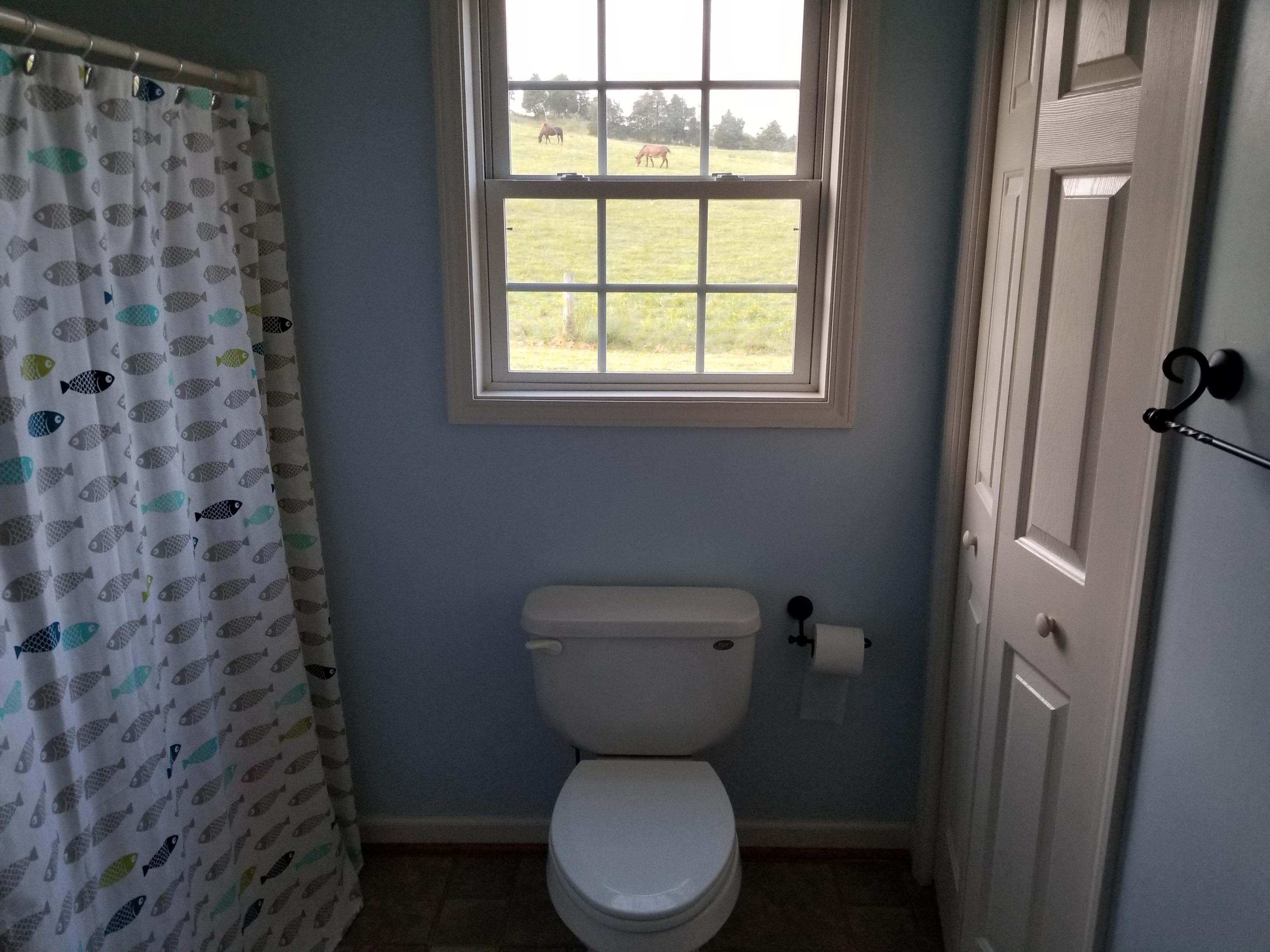 987 Hardbarger Road Buchanan, VA 24066 - Photo 26 of 31 20180819_193942