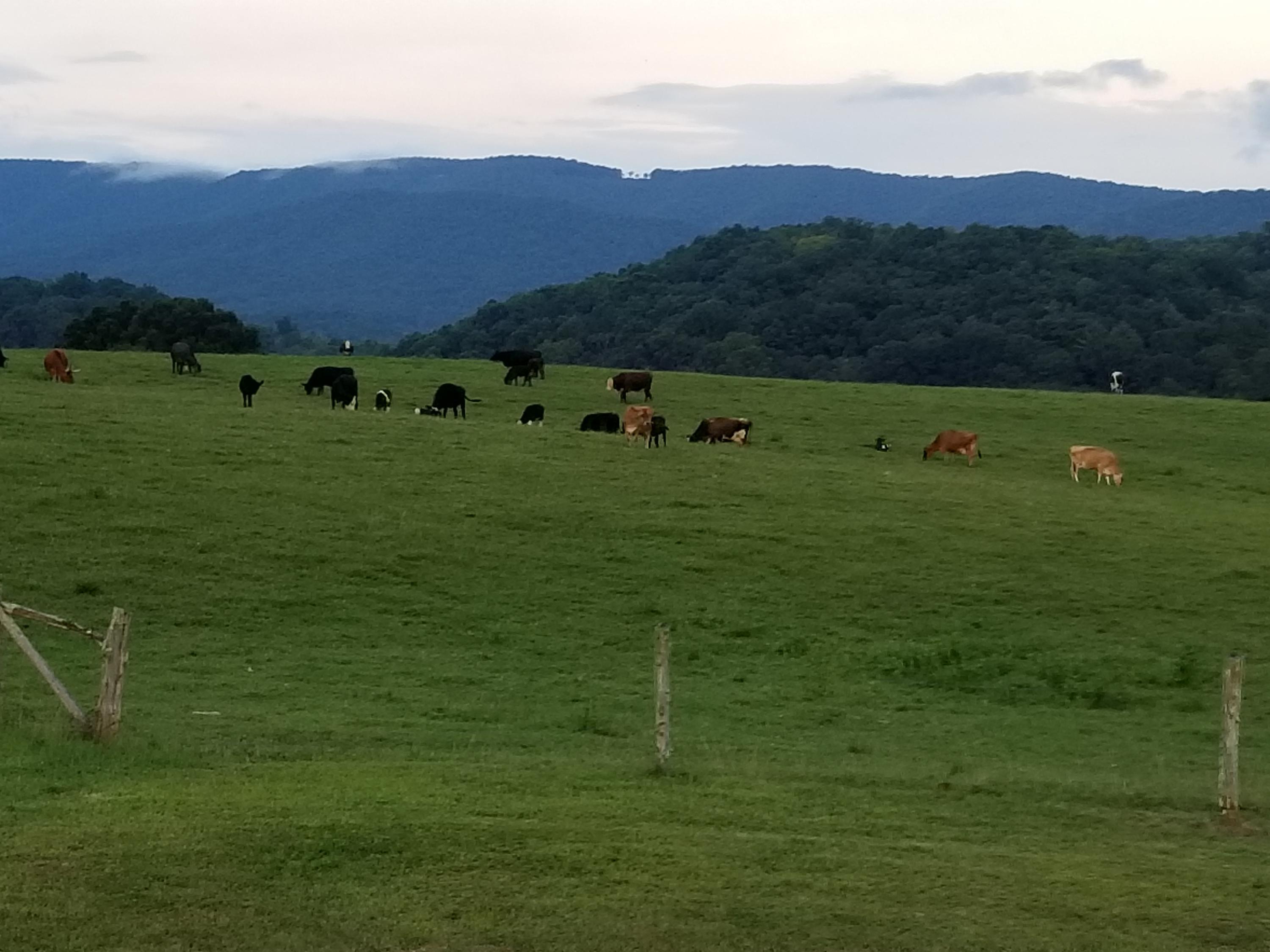 987 Hardbarger Road Buchanan, VA 24066 - Photo 8 of 31 20180819_192225