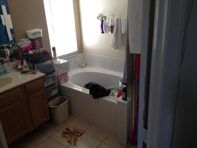 554 Southwest Halkell Avenue Port St. Lucie, FL 34953 - Photo 8 of 13 Master bath
