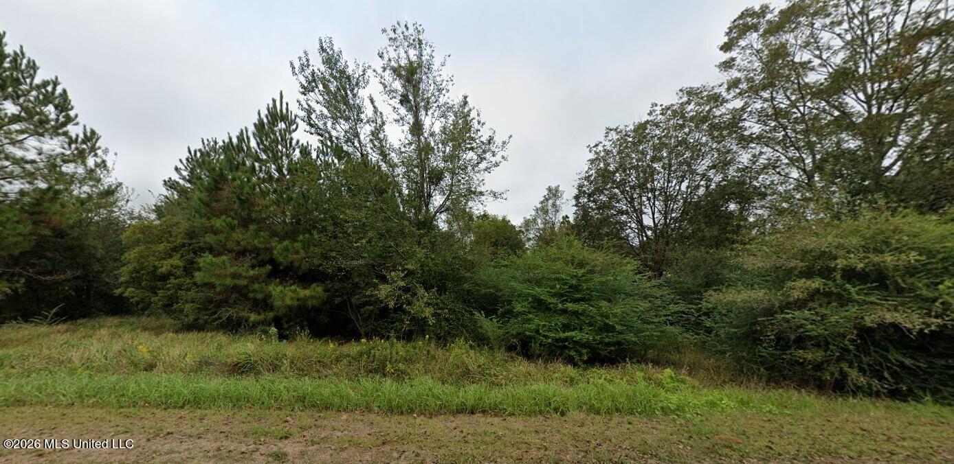 12205 Deer Circle Moss Point, MS 39562 - Photo 2 of 5 2