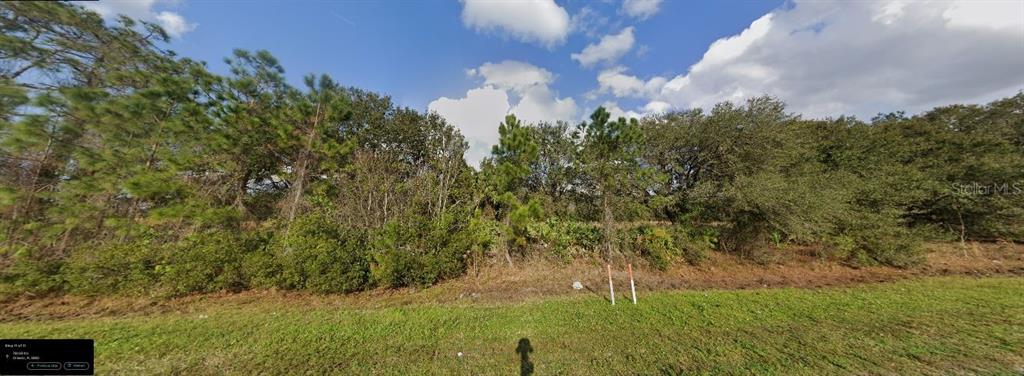 753 Dill Road Christmas, FL 32709 - Photo 4 of 4 Gallery Image 4