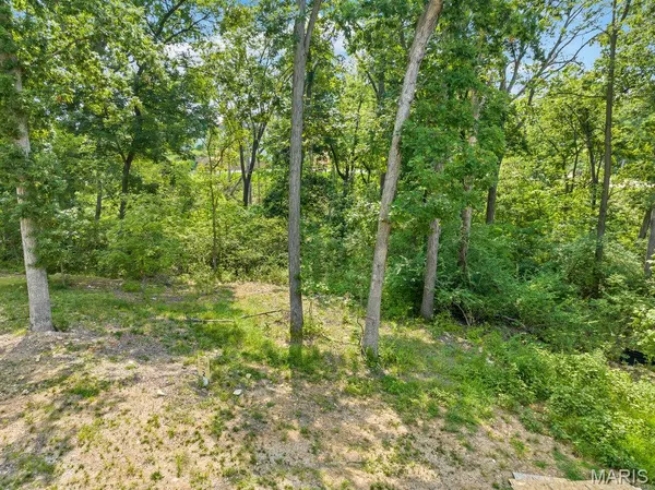 $210,000 | 204 Ella Rose Lane, St. Charles, MO 63304