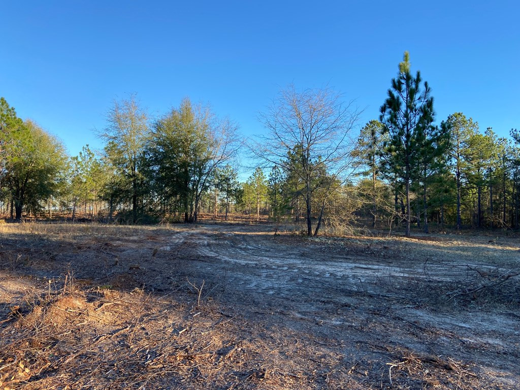 New Lot 1 New Road Windsor, SC 29856 - Photo 3 of 6