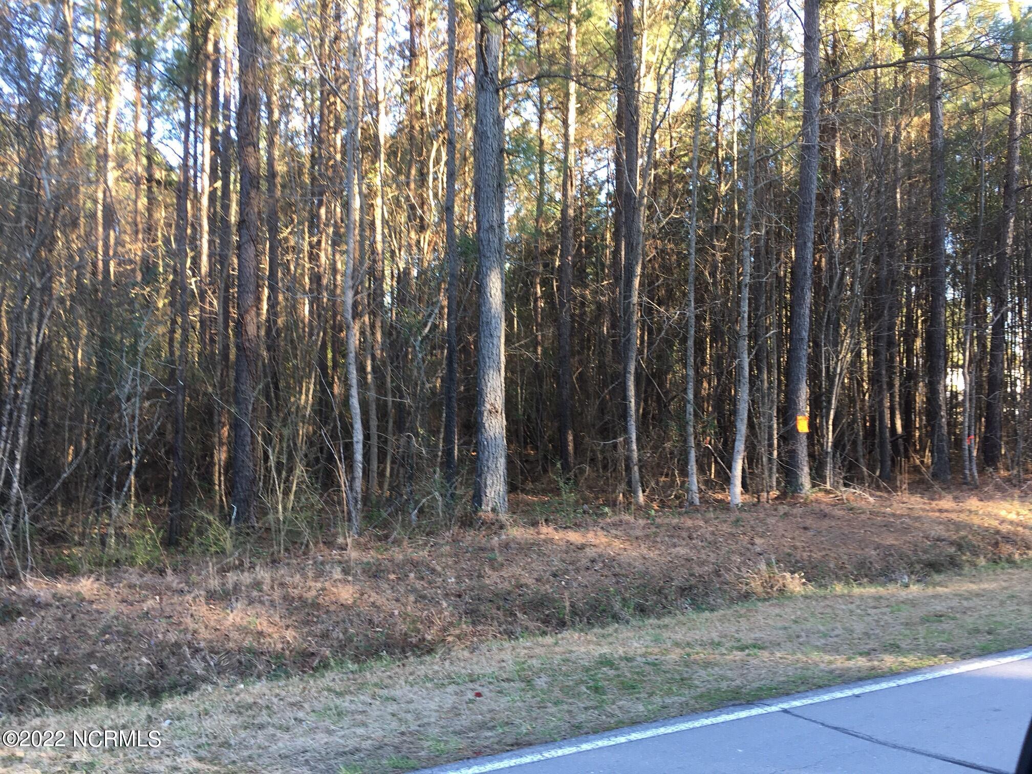 990 Dry Monia Road New Bern, NC 28562 - Photo 3 of 3 3