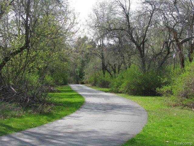 69736 Henry Ross Drive Romeo, MI 48065 - Photo 5 of 25 Henry Ross #6 Driveway
