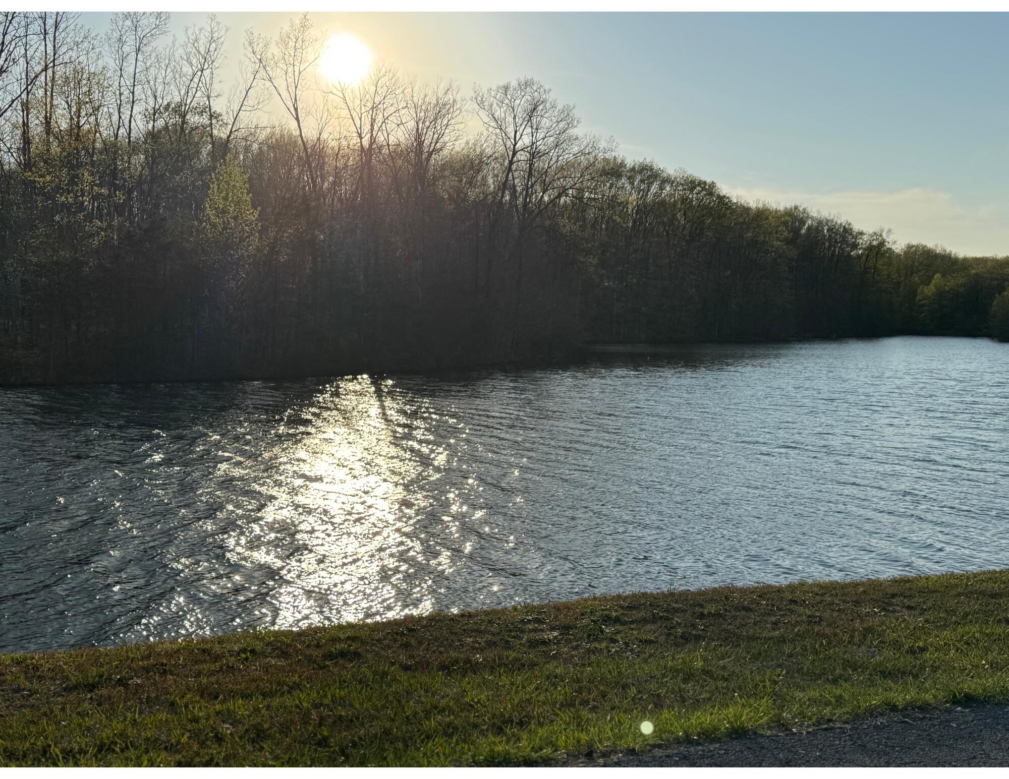 2661 Cooley's Rift Boulevard Pelham, TN 37366 - Photo 105 of 121 Untitled design (20)