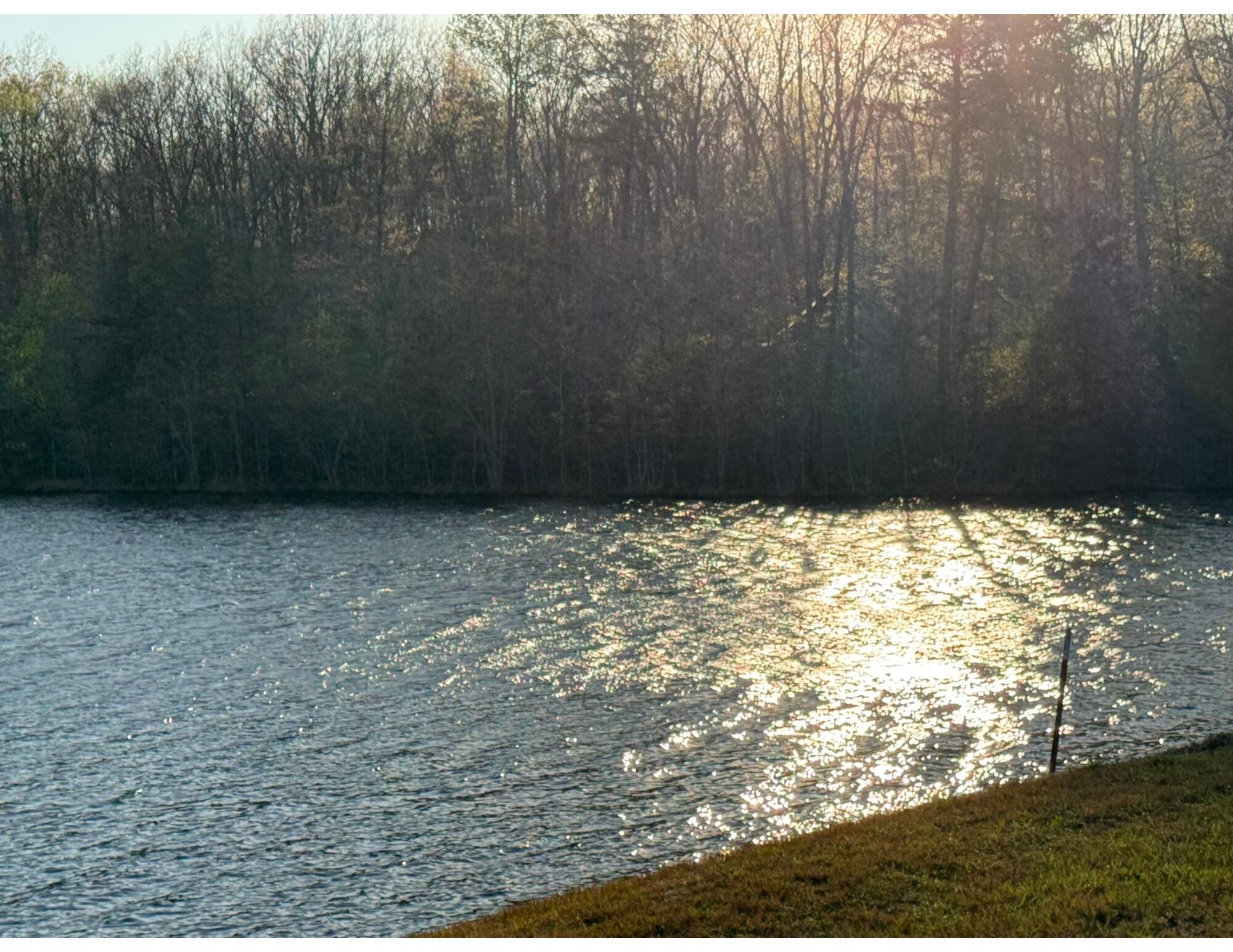 2661 Cooley's Rift Boulevard Pelham, TN 37366 - Photo 106 of 121 Untitled design (19)