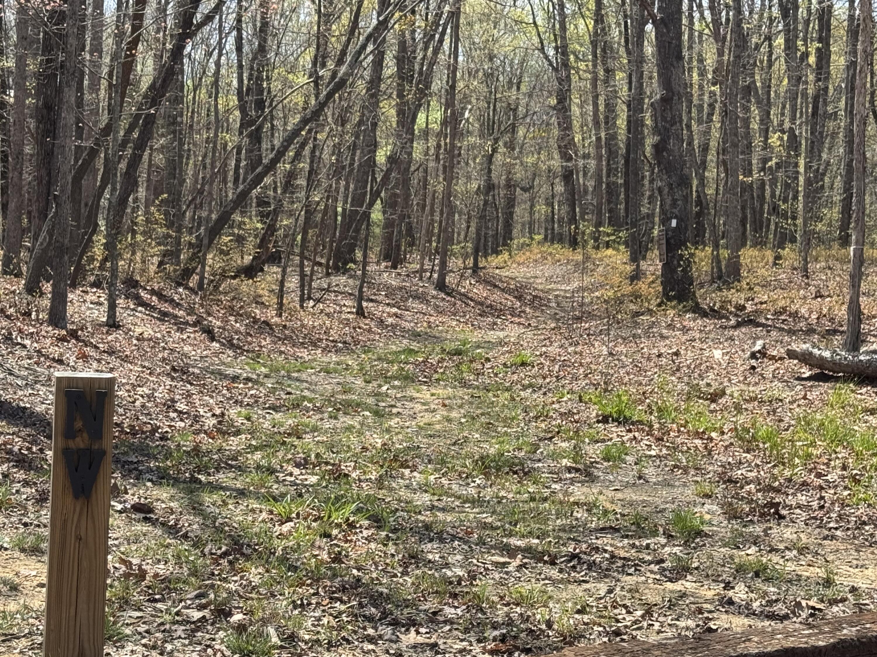 2661 Cooley's Rift Boulevard Pelham, TN 37366 - Photo 107 of 121 IMG_8243