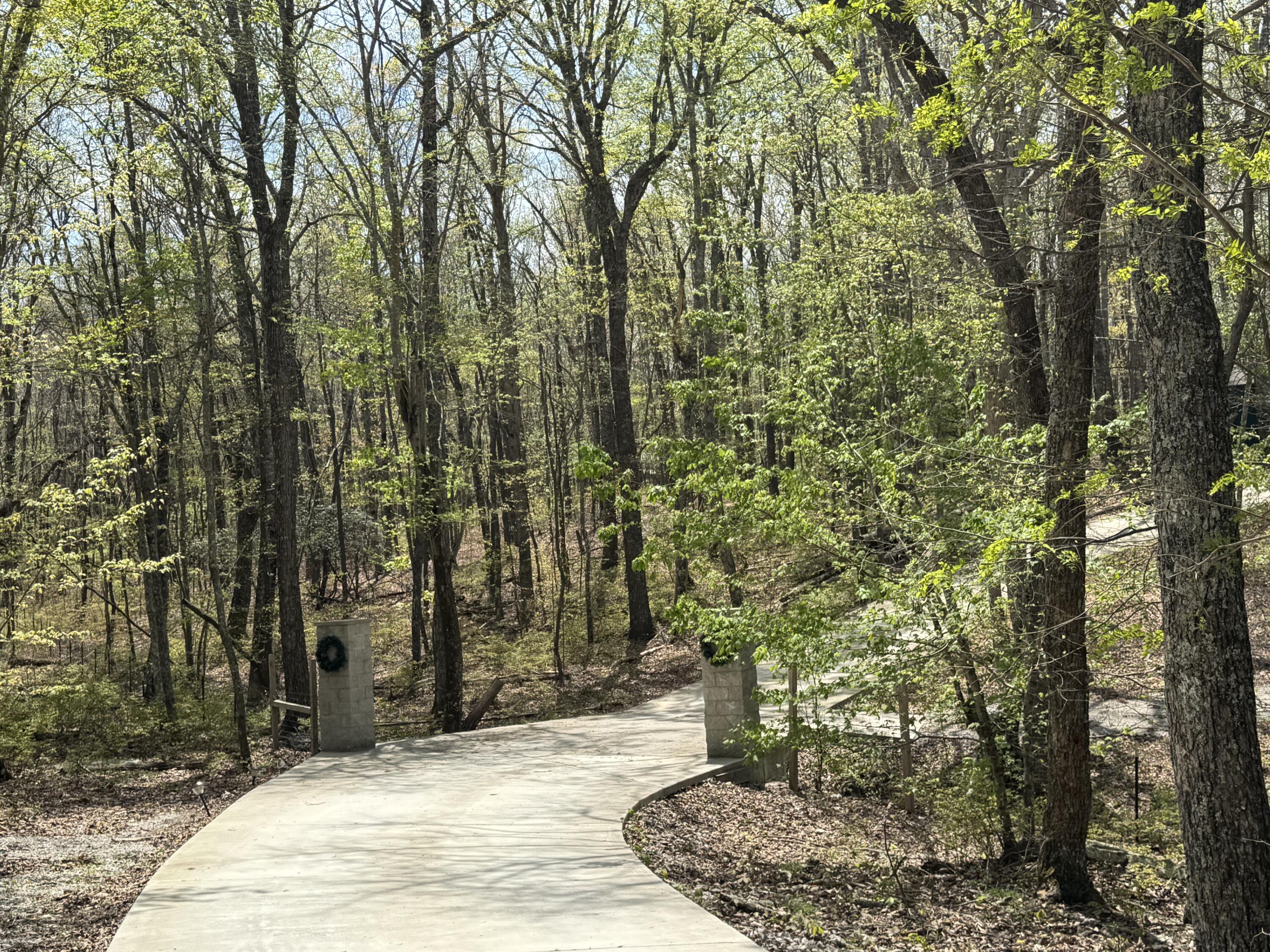 2661 Cooley's Rift Boulevard Pelham, TN 37366 - Photo 113 of 121 IMG_8259