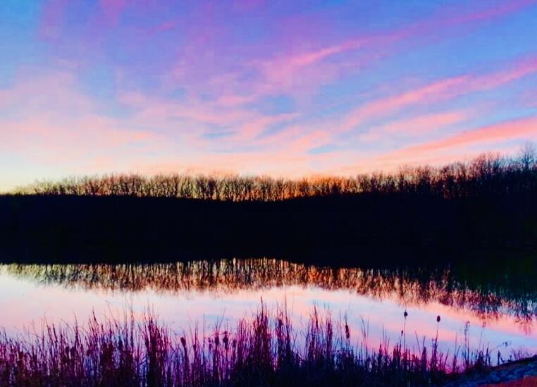 2661 Cooley's Rift Boulevard Pelham, TN 37366 - Photo 85 of 121 IMG_5569